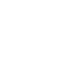 icon2 icon2